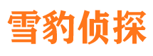 莲花市私家侦探公司